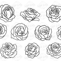 Procreate Rose Stamps - Image 3