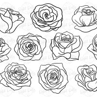 Procreate Rose Stamps - Image 4